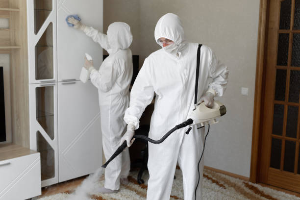 24/7 Emergency Odor Removal experts in Maeystown, IL